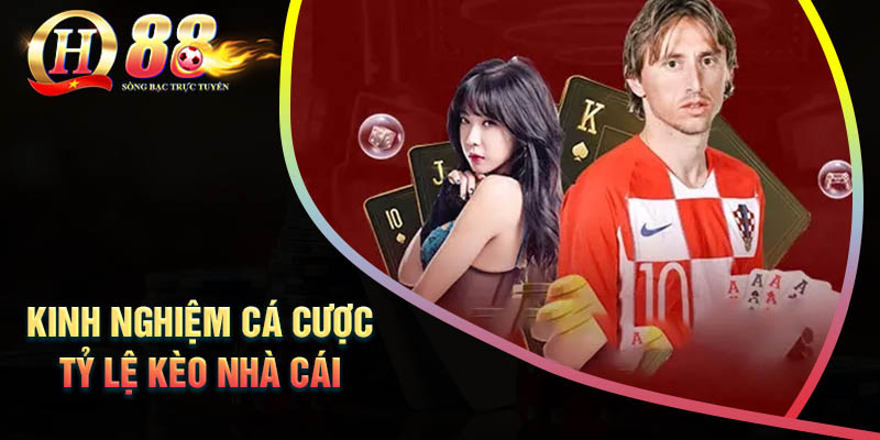 kinh-nghiem-ca-do-ty-le-keo-nha-cai-qh88-hieu-qua