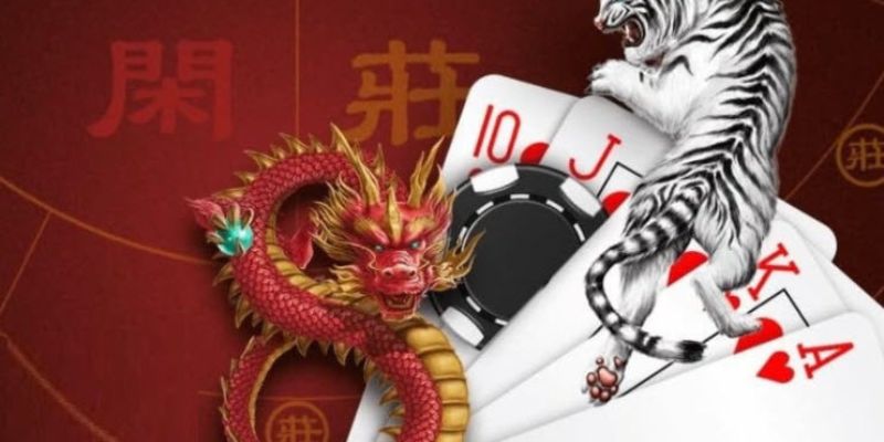 rong-ho-we88-ca-cuoc