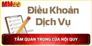 dieu-khoan-su-dung-co-vai-tro-vo-cung-quan-trong