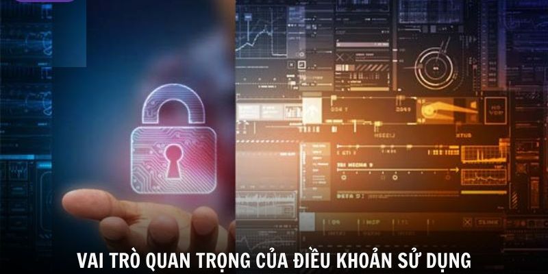 vai-tro-cua-dieu-khoan-su-dung