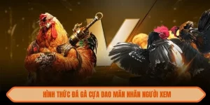 da-ga-mm99-man-nhan-nguoi-xem